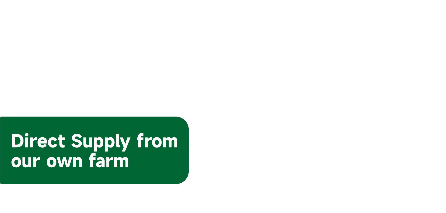 CF Asia Fresh Market Homepage Banner English